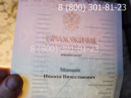 Аттестат 9 класс 2014-2020 годов, нового образца (заполненный), приложение на просвет