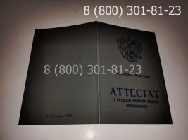Аттестат 11 класс 1994-2006 годов с заполнением, обложка